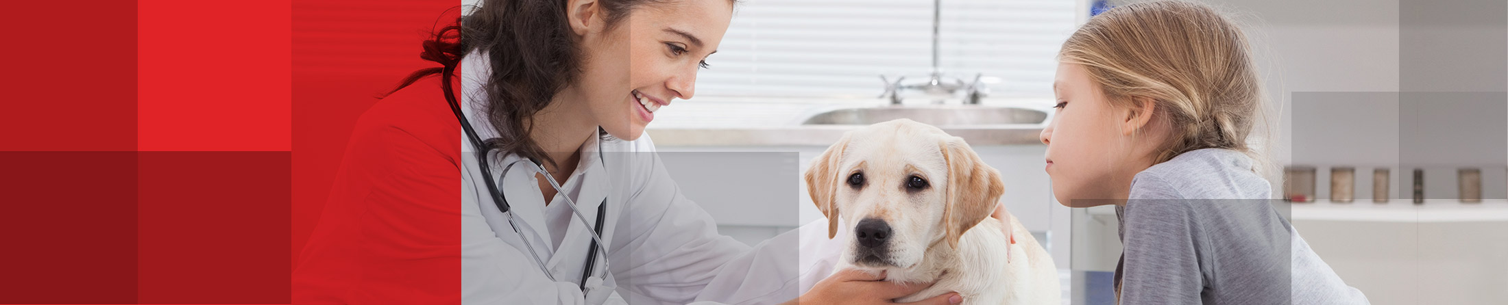Vet animal nutrition, supplies and equipment to veterinary practices Veterinary, animal nutrition, medical supplies and equipment to veterinary practices